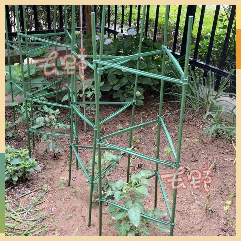 【開立發票】西紅柿番茄架園藝花卉綠植固定支撐桿陽台地面花架番茄黃瓜爬藤架
