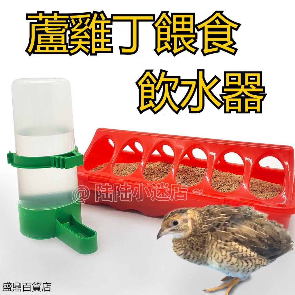 熱銷優品# 蘆丁雞自動喂食器 食料槽鵪鶉小雞飲水器 水槽雛雞飼料盒下料器神器