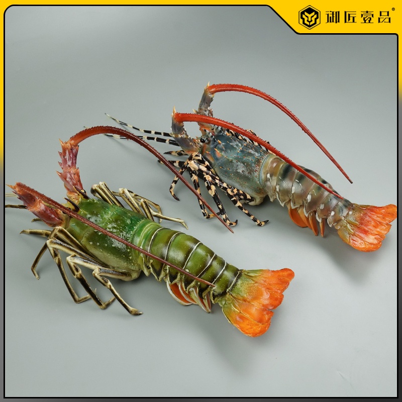 (MOLD-C152)仿真海鮮青龍蝦模型花龍蝦小青龍假水產樣品錦繡龍蝦假海鮮道具
