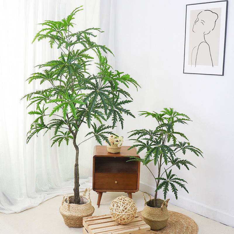 S'HOUSE✨孔雀木 仿真綠植 仿真植物 盆栽 服裝店裝飾 盆景 造景 園藝裝飾 庭院造景 園藝造景 陽臺造景 假植物