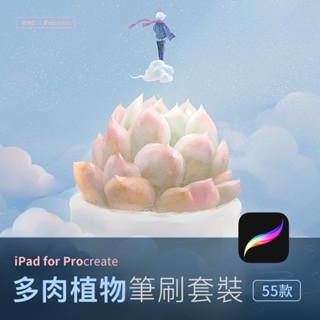 procreate多肉植物插畫筆刷 ipad手繪仙人掌盆栽擺設線稿
