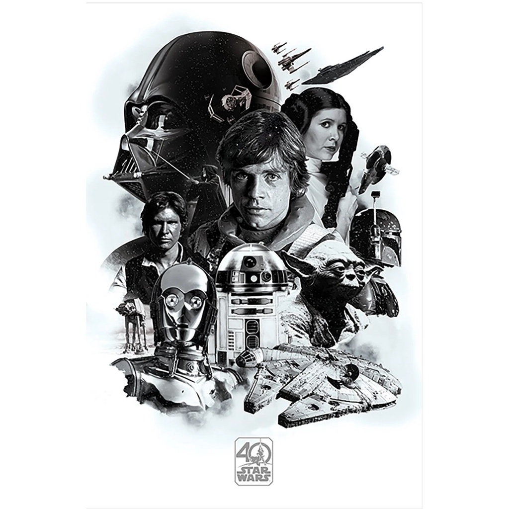 星際大戰 40周年黑白紀念海報/Star Wars