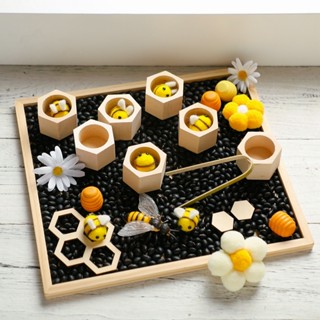 Familygongsi 幼兒精細運動技能玩具/clamp Bee to Hive 配對遊戲/蒙臺梭利木製顏色分類拼圖早