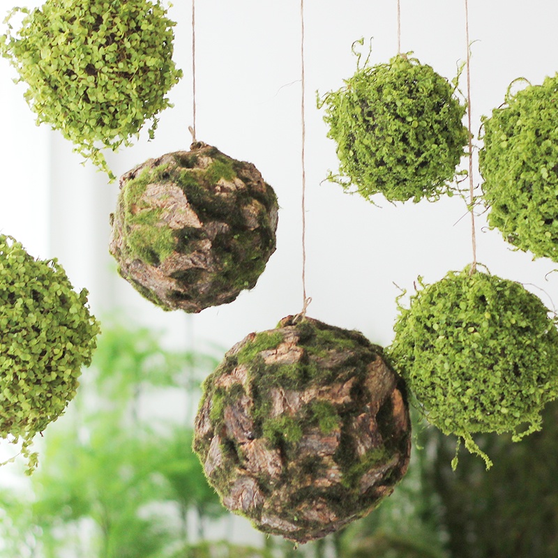 「Camellia」森系裝飾球 綠植吊球 仿真綠植球 永生花吊飾 人造植物 青苔球 吊蘭 園藝裝飾 立體牆飾 掛飾