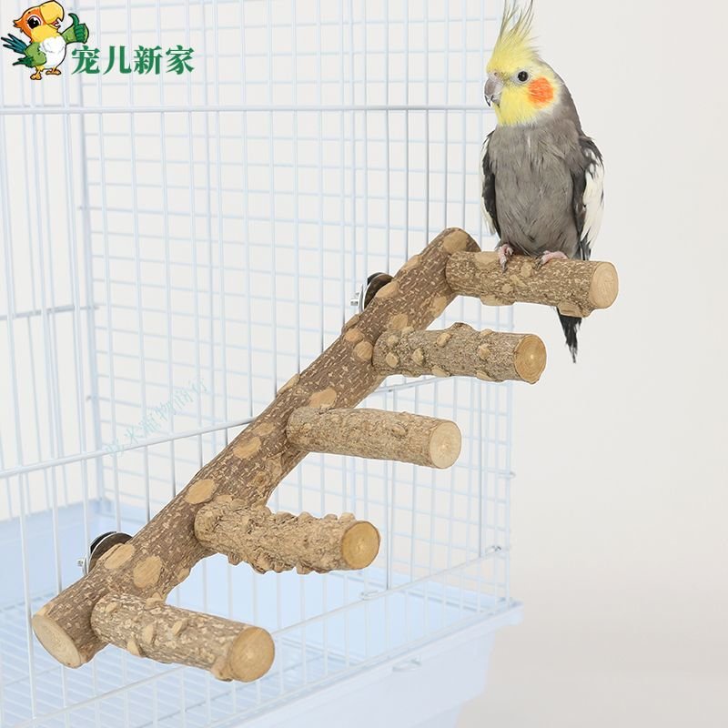 台灣出貨 鸚鵡天然花椒木天梯雲梯子 虎皮牡丹玄鳳攀爬梯用品 鳥玩具用品用具