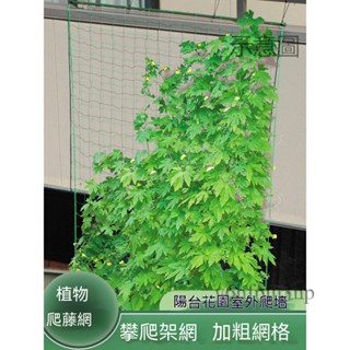 💗免運開發票💗爬藤網 花架 爬藤架 纖維管 花支架 植物攀爬 藤架種植絲瓜月季攀爬植物支撐架 黃瓜網格園藝豇豆攀爬架藤架