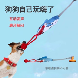 【寵物玩具】毛孩拉扯玩具 寵物拔河 狗狗玩具球 耐咬磨牙發聲玩具 寵物互動 大型犬解悶神器 毛孩子拔河玩具 帶吸盤