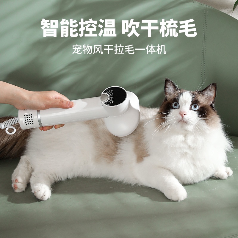 寵物LED顯示吹風梳狗貓風乾拉毛機一件式吹風機去毛梳美容專用