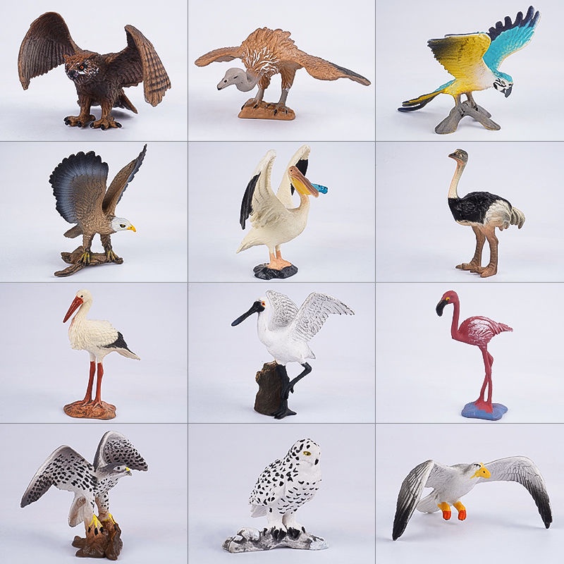 【現貨】仿真 實心 鳥類 玩具 動物模型 鸚鵡 貓頭鷹 火烈鳥 飛禽 套裝 兒童認知 禮物*&amp;&amp;&amp;