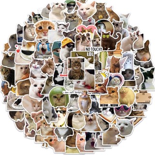 100/50 件有趣的 Cat Meme 防水貼紙適用於筆記本電腦、頭盔、自行車、筆記本、DIY 裝飾