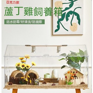 【✨ 宅配到府🚛】蘆丁雞亞克力飼養箱 小雞雞窩寵物盧丁雞專用籠子 蘆丁雞房子造景小屋全套 倉鼠烏龜刺蝟飼養箱