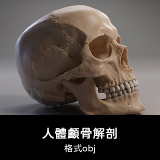 3D模型 ｜ 高模C4D人體顱骨頭骨骷髏解剖3D模型渲染建模maya設計obj素材下載