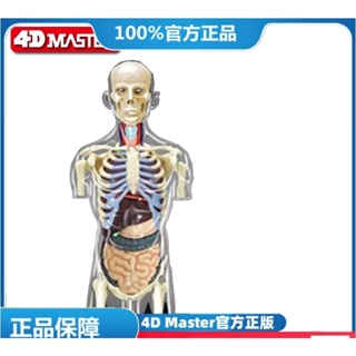(MD-E18) 正版 4D MASTER 拼裝玩具 1：6 人體半身內臟(可開發票)