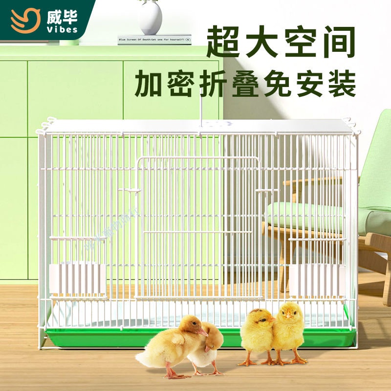 台灣熱銷 蘆丁雞專用籠 可折疊 飼養箱 家用養殖 小雞籠 加密鵪鶉籠 小黃鴨籠
