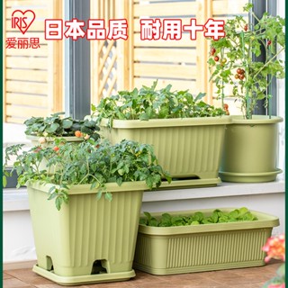 免運 可開發票！！種植箱 陽臺戶外種菜盆 家庭種花專用箱 長方形大號愛麗絲花盆