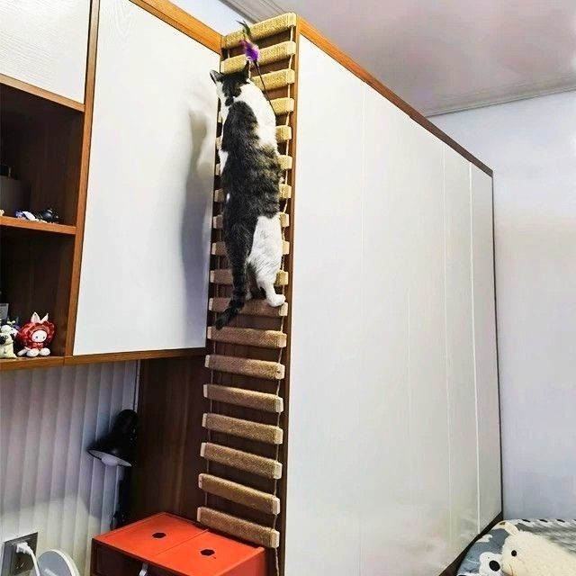 愛玩貓爬架 貓籠蹬天梯/橋兩用實木麻繩可連接跳台貓窩/磨爪神器