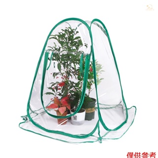 Sun6溫室迷你植物蓋彈出PVC溫室後院保護花卉種植園藝避雨防霜帳篷戶外植物陽光房