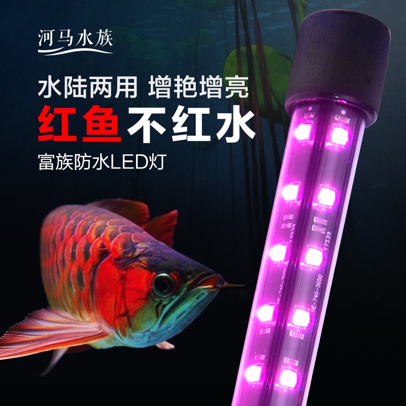 ◆現貨◆ 魚缸燈 水族箱LED燈 魚缸照明燈 防水 夾燈T8魚缸燈增豔LED燈照明潛水防水紅龍髮色超亮鸚鵡羅漢魚專用燈管