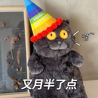 【多多Room】貓咪玩偶 毛絨玩具 超真 橘貓 白貓 藍貓 抱枕 睡覺長條娃娃 女生禮物 造型玩偶 生日禮物 交換禮物