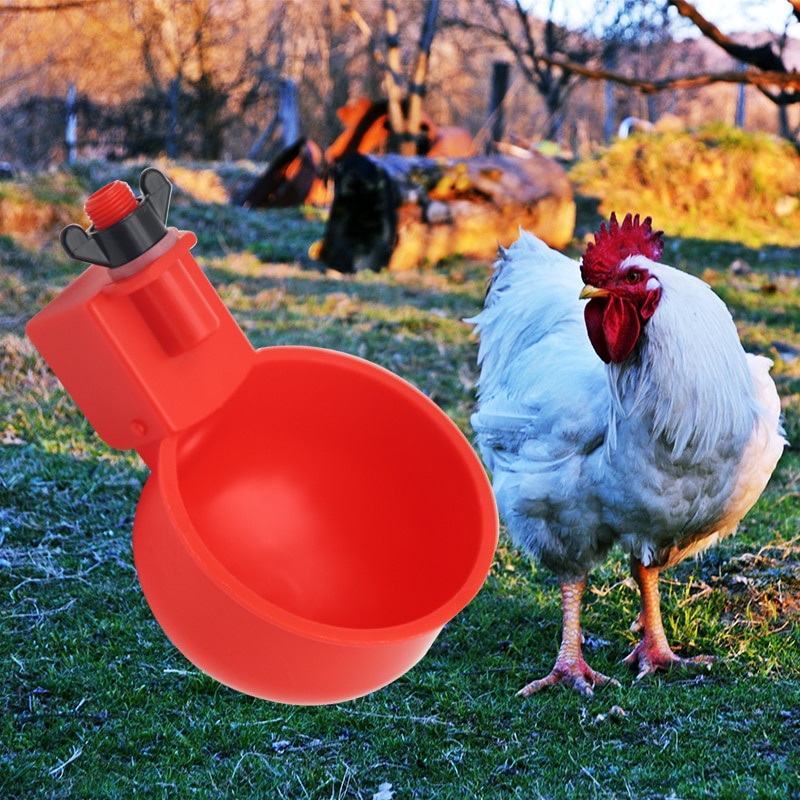 6 件裝雞鴨鳥自動飲水碗雞自動家禽飲水器碗塑料家禽供水裝置