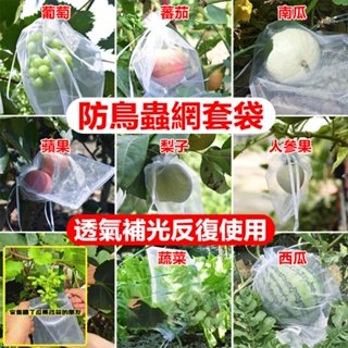 【100個】防蟲防鳥瓜果透氣網袋 水果防蟲網袋 草莓袋 防鳥用網袋 透氣桃子番茄無花果葡萄套袋