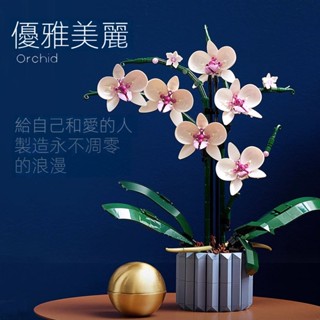 『臺灣現貨』蘭花蝴蝶蘭拼裝積木 花束盆景『1:1復刻 』植物盆栽積木 多肉積木組裝模型 積木花束 小顆粒拼裝玩具擺件