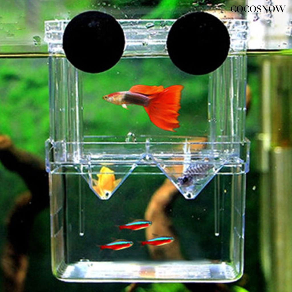 【氵氵水族 】 孔雀魚 雙層透明魚繁殖 隔離盒 水族飼養箱 魚缸孵化盒 器養魚房產卵