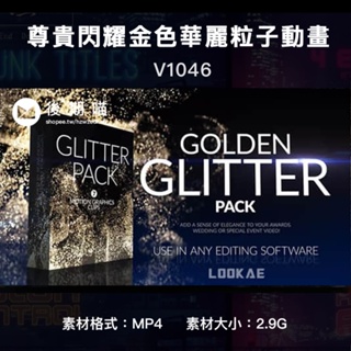 14組尊貴閃耀金色華麗粉末粒子動畫視頻素材 Golden Glitter Pack