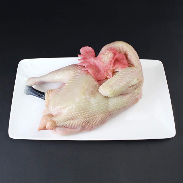 (MOLD-C128)仿真生雞模型節日假雞用品雞魚豬頭模型假燒雞白切雞鹽水雞模型
