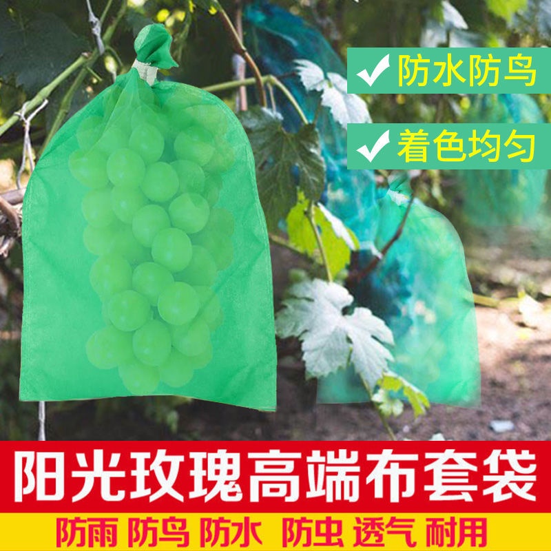 🔥台灣熱賣🔥葡萄套袋陽光玫瑰專用套袋葡萄袋子防鳥防蟲防雨防水袋果袋柚子袋