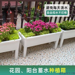 園藝裝飾·陽臺種菜盆高腳種植箱蔬菜長方形花盆塑膠專用種菜神器特大號花箱
