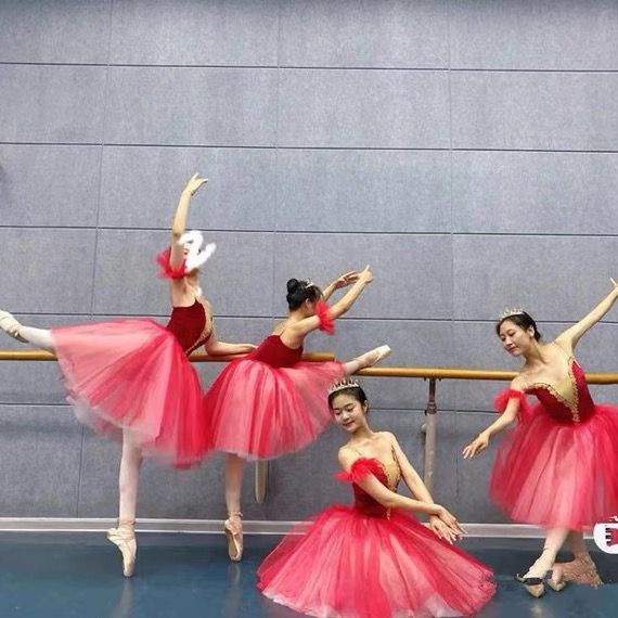 兒童芭蕾舞裙成人天鵝湖表演服蓬蓬紗裙TUTU裙小天鵝舞蹈服比賽服