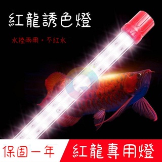 金龍魚燈專用發色暖光T8廣角led燈防水led魚缸燈紅龍魚燈錦鯉燈