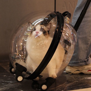 貓包便攜狗拉桿箱透明太空艙貓籠貓行李寵物旅行車