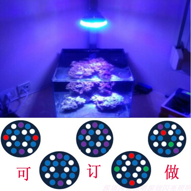 訂製海水魚缸燈led藻缸珊瑚燈照明水族箱微缸爆藻燈藍白紫紅綠E27