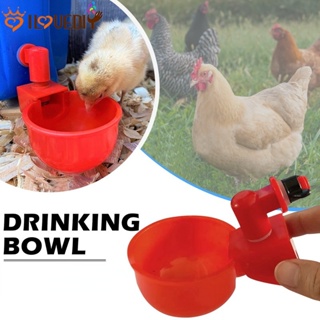 大容量家禽餵食器/防漏寵物飲水杯/通用自動飲水機/鴿子鵪鶉小雞餵食碗