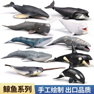 新款現貨快速出貨模擬鯨魚模型海洋動物玩具海底生物藍鯨白鯨虎鯨灰鯨兒童科教擺件***&*-&&