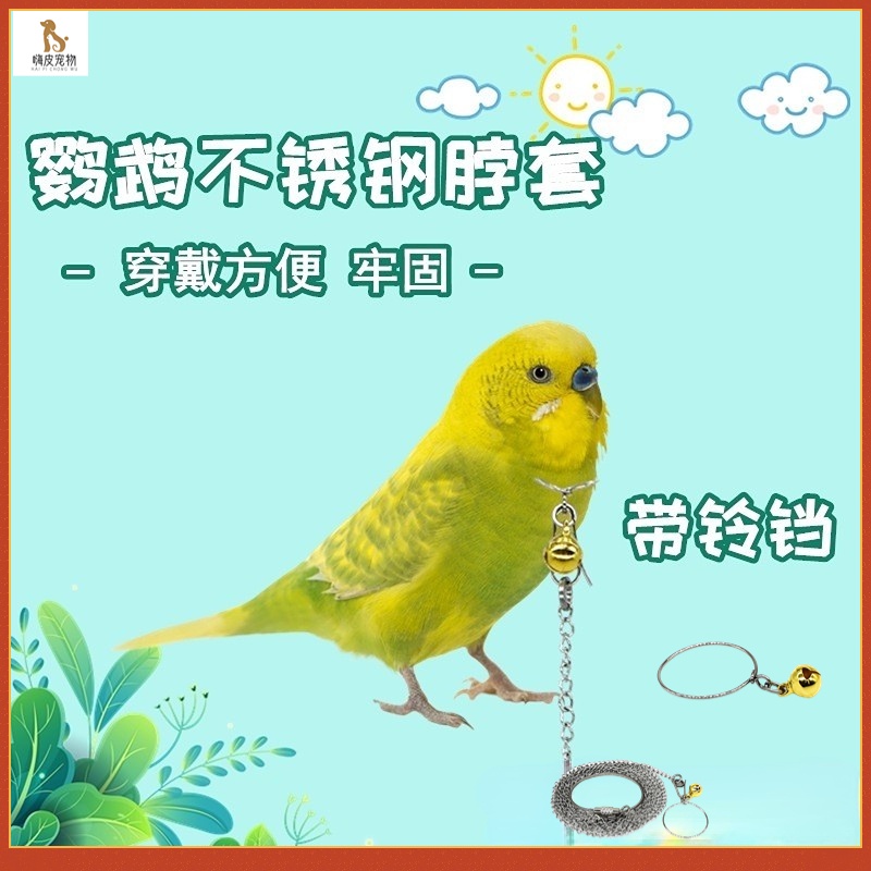 鸚鵡不鏽鋼脖套 鸚鵡鳥脖套 脖鏈腳鏈腳環不鏽鋼脖圈 虎皮牡丹玄鳳伯勞八哥鳥環脖扣