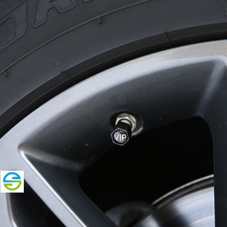 現貨適用於賓士Benz/AMG/GLC/GLA/C300/E200氣門嘴 保護輪胎 、cla250、C180、x253、