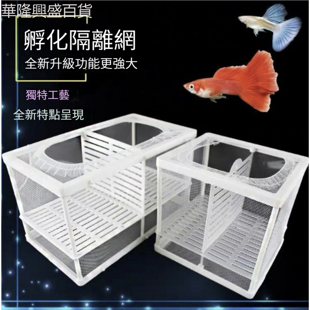 【華隆興盛百貨】魚缸隔板魚缸隔離網小魚隔離板熱帶魚繁殖盒箱觀賞魚孔雀魚孵化盒