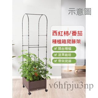 💗免運開發票💗支架植物攀爬架塑膠種菜盆 拱門花架 室外葡萄架 陽臺戶外蔬菜專用箱菜盆 種植箱 爬藤架 花盆長方形架 藤架