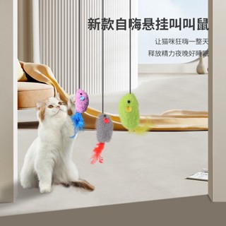 掛門式逗貓棒 貓咪玩具掛門式逗貓棒自嗨解悶發聲玩具球逗貓懸掛彈簧老鼠