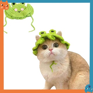 😺現貨秒發🐶可愛的針織霧寵物帽貓萬聖節服裝