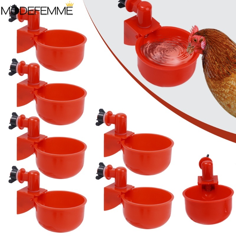通用自動飲水機/大容量家禽餵食器/鴿子鵪鶉小雞餵食碗/防漏寵物飲水杯