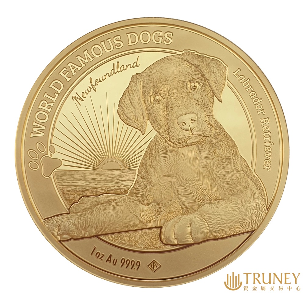 【TRUNEY貴金屬】2023喀麥隆拉布拉多犬金幣1盎司 / 約 8.294台錢