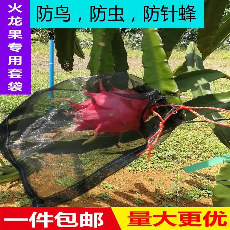 ‹水果套袋›現貨 尼龍  網袋  種子袋火龍果套袋專用套果袋葡萄套防果蠅防鳥  水果袋