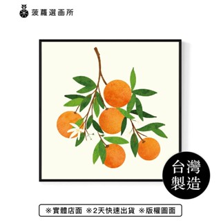 飄香橘韻 I - 夏日水果水彩插圖/橘子掛畫/開運居家佈置/客廳掛畫/辦公室擺設/菠蘿選畫所