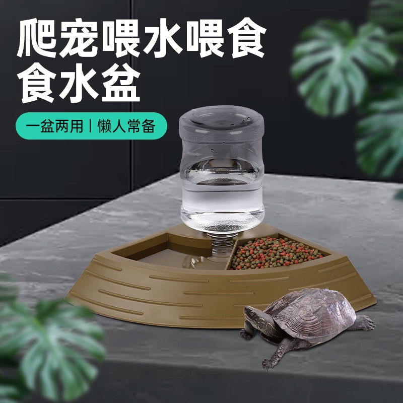 爬寵餵食器飲水器陸龜水盆食盆蜥蜴黃緣龜自動飲水器爬蟲水盤食盤