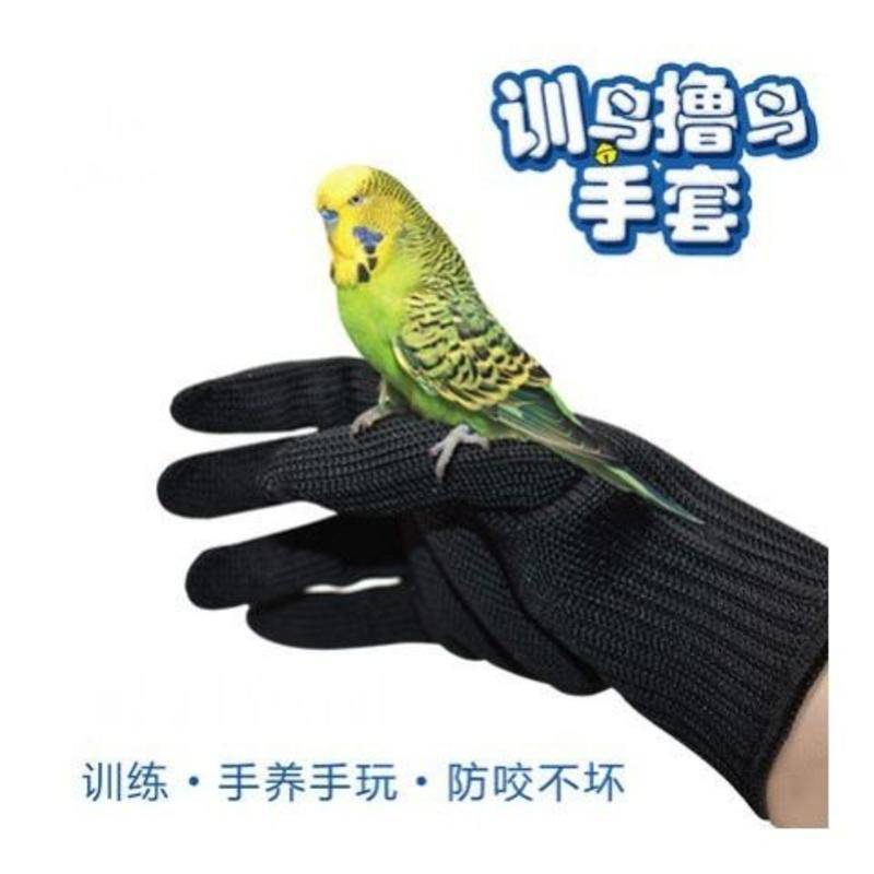抓鳥手套 訓鳥鸚鵡防咬手套 寵物放飛訓練鳥鋼絲手套 耐咬喂鳥