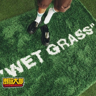 【潮玩大咖】潮牌聯名地毯溼草地WET GRASS客廳臥室長絨地毯ins網紅潮流綠草地地毯